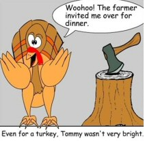 not too bright turkey
